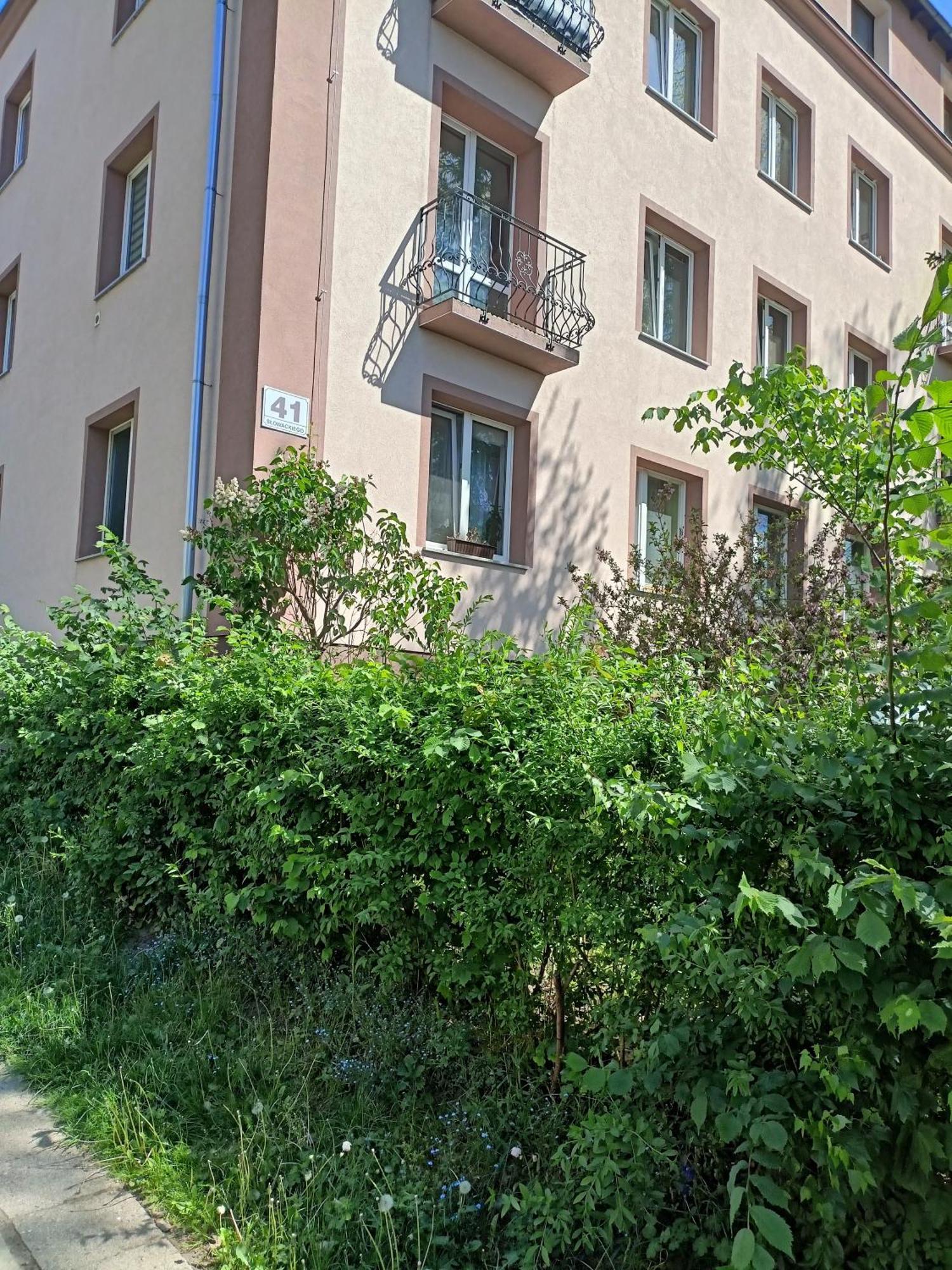 Apartament Slowackiego 41 يلينيا غورا المظهر الخارجي الصورة