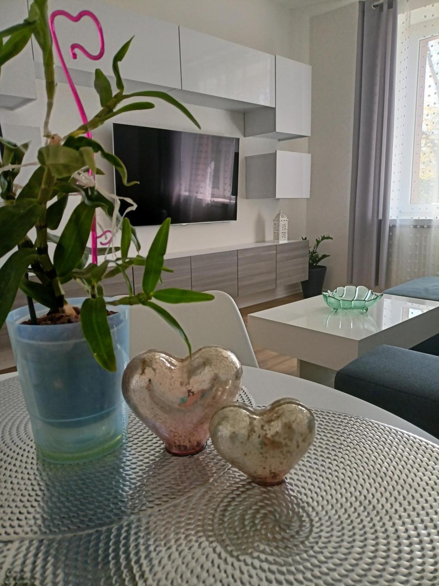 Apartament Slowackiego 41 يلينيا غورا المظهر الخارجي الصورة